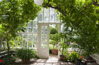 free Davids Well orangery quotes